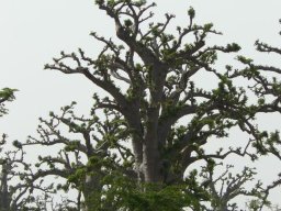 269194_10150259148314901_4246557_n